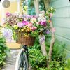 Spring Bakke