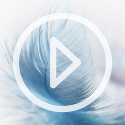 ABnIftkiMuZ7M1jr2AtClkfO5LF2