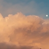 BL