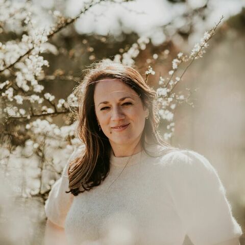 LGWH4tD18YTTxmok9qSWd8jyV182