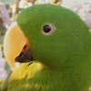 Betsy 