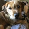 Zoey