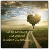 Marie-Laure Broch