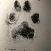 Thea